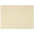 Petal Poster | Agnes Martin Poster | Agnes Martin Store